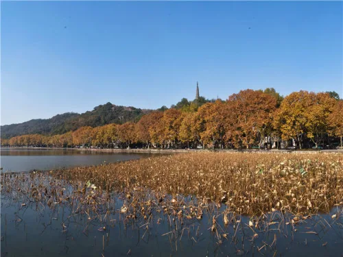 宝石山实景 2