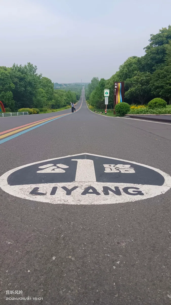 溧阳 1 号公路南段实景