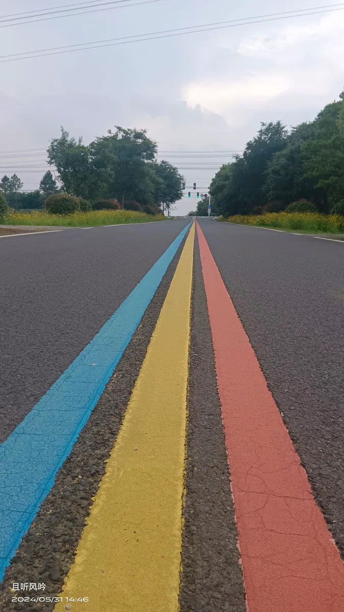 溧阳 1 号公路南段实景 2