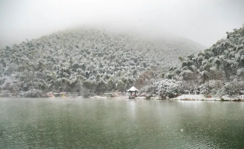 南山竹海实景 3